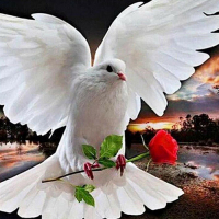 МЕМ