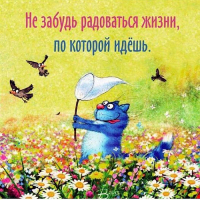 Nikei 79