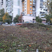 Спартак